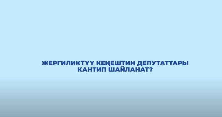 Read more about the article Жергиликтүү кеңештерге депутаттар кандай шайланат?